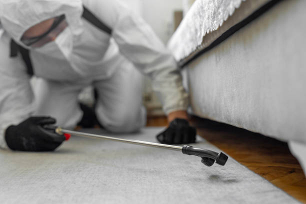 Professional Termite Control technician working in Milton, WI