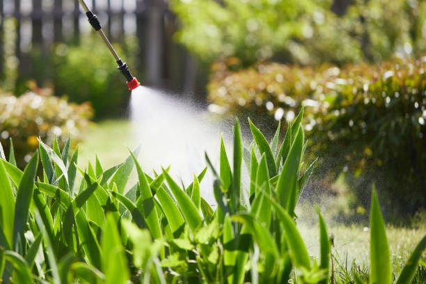 24/7 Emergency Termite Control experts in Milton, WI